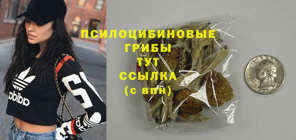 мдпв Верхний Тагил
