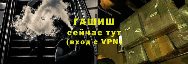 гидра Вязьма