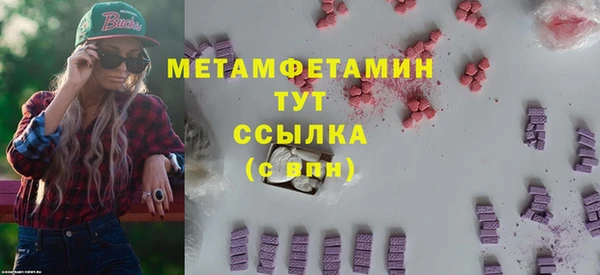 гидра Вязьма