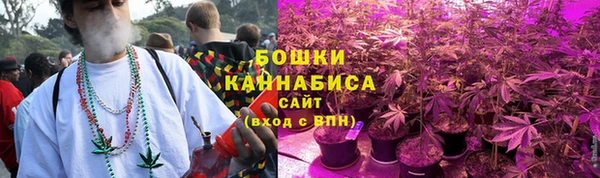 spice Бронницы