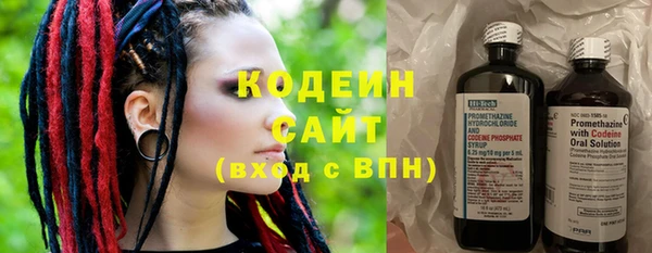 мдпв Верхний Тагил