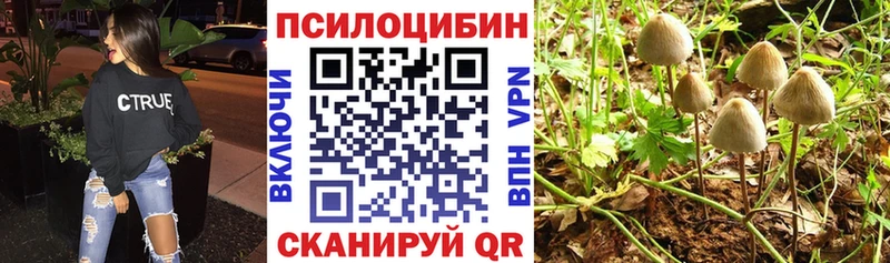 Псилоцибиновые грибы ЛСД  площадка формула  Жигулёвск  OMG ТОР 